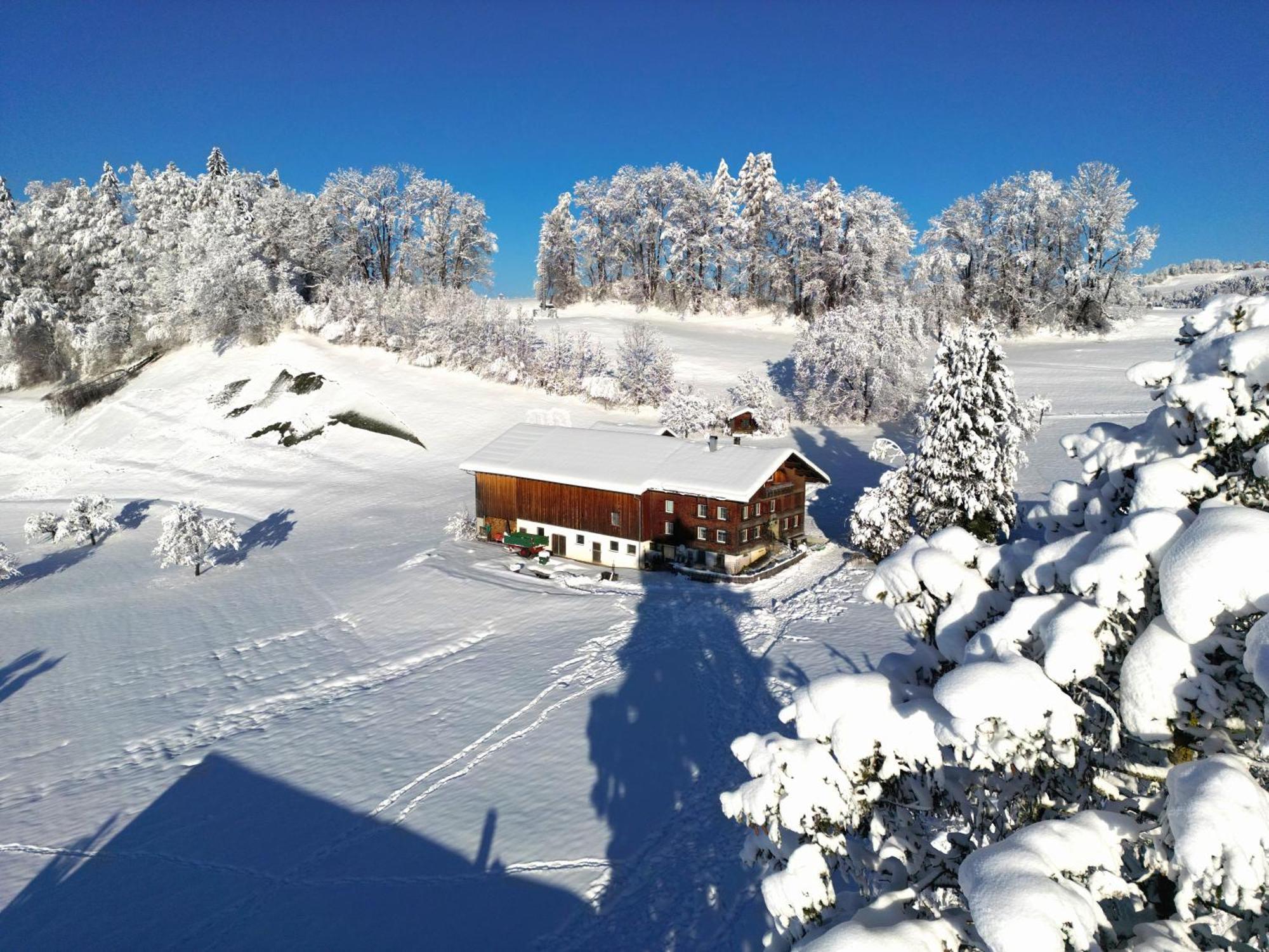Bergoase Hohenegg Villa Lingenau Exterior foto