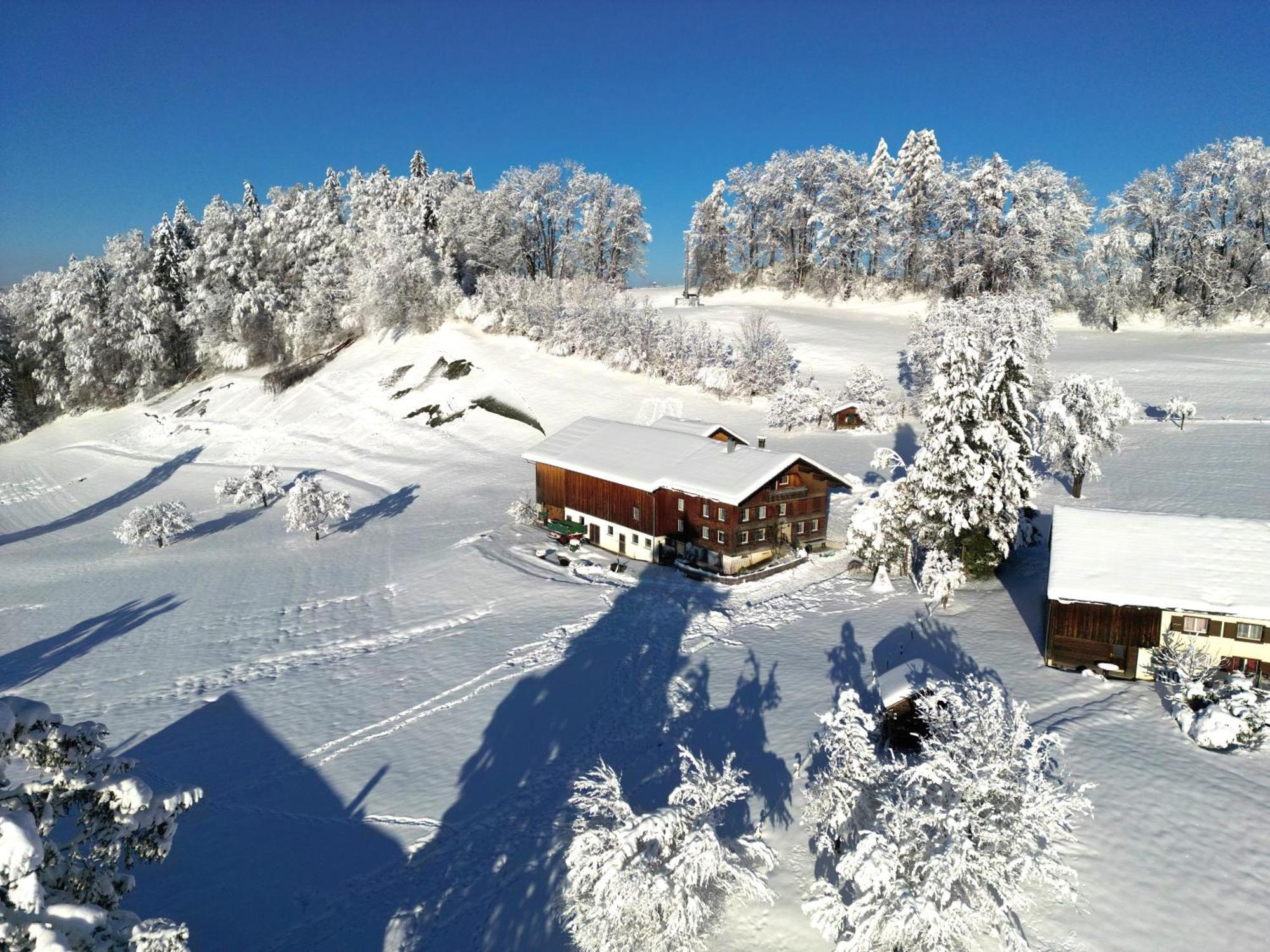 Bergoase Hohenegg Villa Lingenau Exterior foto