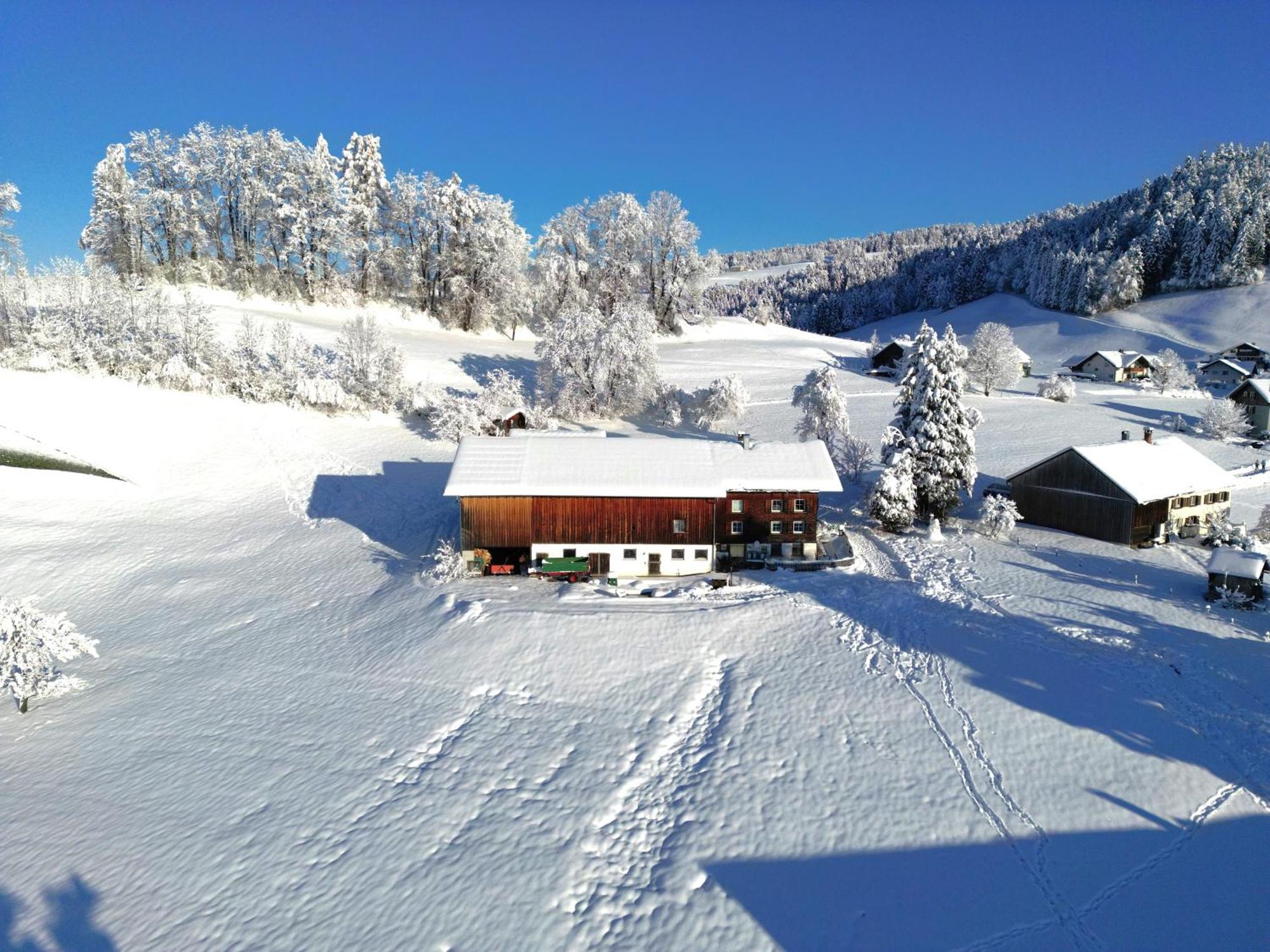 Bergoase Hohenegg Villa Lingenau Exterior foto
